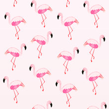 Load image into Gallery viewer, Art Print | Flamingo Mix